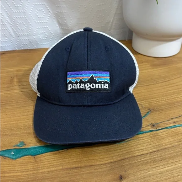 Patagonia Trucker Hat blue - Picture 1 of 5